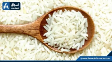 قفزة في أسعار الأرز.. تايلاند تسجل أعلى مستويات منذ 4 أشهر